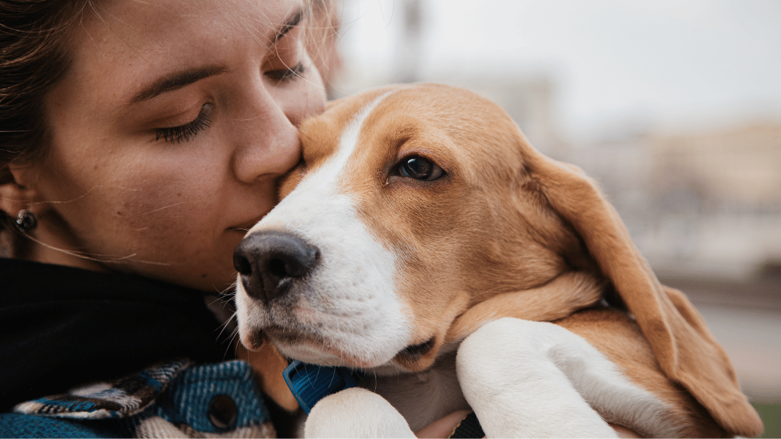 La DGT aclara cuál es la forma más segura de llevar a tu mascota